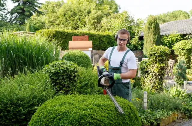 landscaping services Kachina Village
